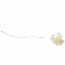 položky Koprovka bíle zasněžená 117cm