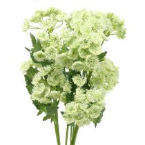 položky Kopr umělý bílý 49cm 6 ks