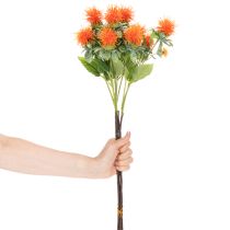 položky Umělá oranžová světlice barvířská jako umělá květina do vázy a na dekoraci, 55 cm, 4 kusy