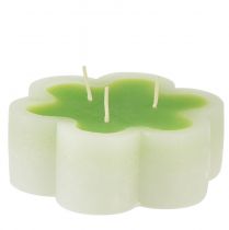 Tříknotová svíčka zelená bílá tvar květiny Ø11,5cm V4cm