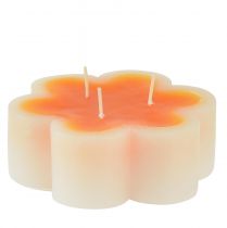 Tříknotová svíčka bílá oranžová ve tvaru květiny Ø11,5cm V4cm