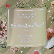 položky Vonná svíčka Winter Woodland svíčka ve skle Ø9,5cm V10,5cm
