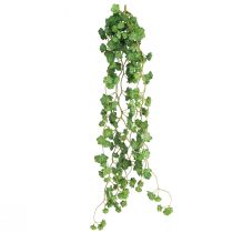 položky Umělé závěsné rostliny Echeveria v zelené barvě Š12cm D50cm
