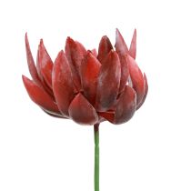 Sukulentní Echeveria umělé zelené rostliny červené Ø12cm 19,5cm