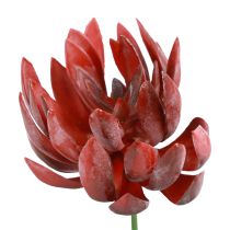 Sukulentní Echeveria umělé zelené rostliny červené Ø12cm 19,5cm