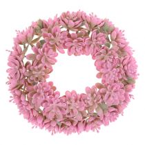 Echeveria věnec růžový Ø18cm 4ks