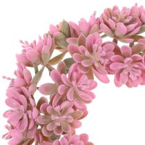 Echeveria věnec růžový Ø18cm 4ks