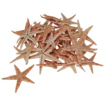 položky Skutečná mladá hvězdice námořní dekorace na stůl 3,5-5cm 100 kusů