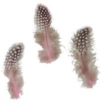 položky Pravé perličkové peří růžové s tečkami 4-12cm 100ks