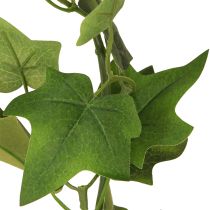 položky Ivy Garland umělá réva zelená se 2 očky L150cm