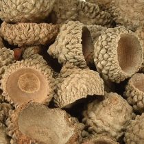 položky Přírodní ozdobné žaludy na tvoření, 1,5 cm, 200 g
