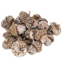 položky Žaludy, přírodní produkt k dekoraci, bílené, 1-3 cm, 300 g