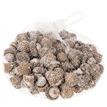 položky Žaludy, přírodní produkt k dekoraci, bílené, 1-3 cm, 300 g