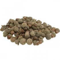 Žaludy na zdobení, podzimní dekorace, podzimní plody samozřejmě Ø1,5 - 2,5cm L1,5 - 3cm 300g