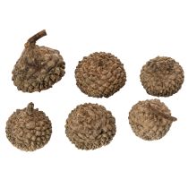 položky Přírodní žaludy, dekorativní misky na podzim a advent, 2 cm, 300 g