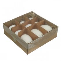 položky Labutí vejce &amp; slepičí vejce mix vyfouknutý bílek 5,5/8cm 9ks