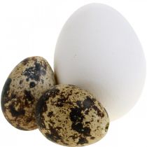 Dekorace vaječná směs křepelčí vejce a slepičí vejce Vyfouknutá velikonoční vajíčka