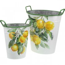 Středomořská plechová vana, květináč s motivem citronu bílá, zelená, žlutá V43,5/34cm Š36,5/27,5cm sada 2ks
