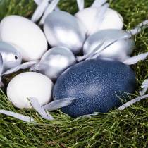 položky Emu vejce přírodní 12cm - 14cm 1ks