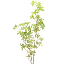 položky Umělá větvička Schefflery, elegantní rostlinná dekorace do obytných prostor, 95 cm