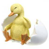 položky Vylíhlé mládě, figurka kachny, káčátko ve vejci V10cm Š12,5cm