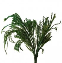 položky Erika mechová dekorační mechová zelená přírodní dekorace sušená 20-35cm 400g