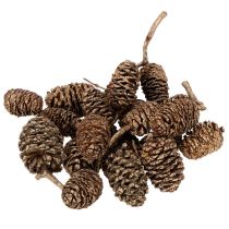 položky Olšové šišky, přírodní produkt pro dekoraci a tvoření, zlaté, 3 cm, 300 g