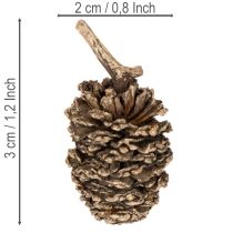 položky Olšové šišky, přírodní produkt pro dekoraci a tvoření, zlaté, 3 cm, 300 g
