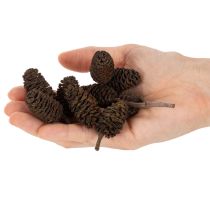 položky Přírodní olšové šišky, volné, na ozdobu, 3 cm, 300 g, přírodní hnědé.