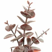 položky Eukalyptus umělý Burgundsko 32cm Umělá rostlina jako skutečná!