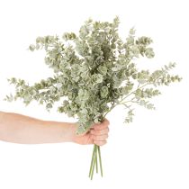 položky Umělá větvička eukalyptu, dekorativní větvička do vázy a kytice, 49 cm, 4 kusy