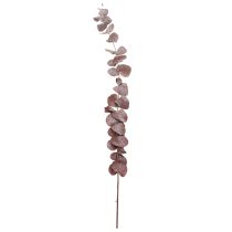 položky Větve eukalyptu, konzervovaný eukalyptus, sušené květy, červené, 75 cm, 150 g