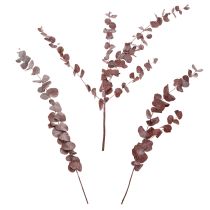 položky Větve eukalyptu, konzervovaný eukalyptus, sušené květy, červené, 75 cm, 150 g