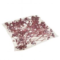 položky Větve eukalyptu červená matná přírodní dekorace exotické 25 kusů