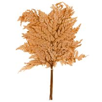 položky Dekorace z konzervované kapradiny oranžové 45 cm, 10 kusů, domácí dekorace, DIY