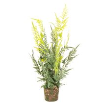 položky Umělá kapradina s kořenovým balem pro dekoraci domu a kanceláře, 57 cm