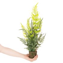 položky Umělá kapradina s kořenovým balem pro dekoraci domu a kanceláře, 57 cm