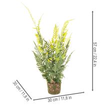 položky Umělá kapradina s kořenovým balem pro dekoraci domu a kanceláře, 57 cm