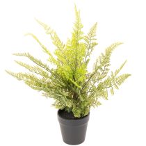 položky Umělá kapradina v květináči pro vnitřní zeleň, 40 cm