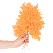 položky Sušené konzervované listy kapradí pro květinářství a podzimní dekorace, 42 cm, 10 kusů