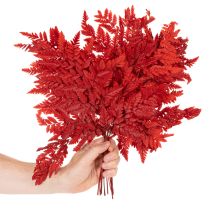 položky Kapradinové listy, konzervované a barvené, pravá kapradina pro podzimní aranžmá, 42 cm, 10 kusů
