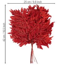 položky Kapradinové listy, konzervované a barvené, pravá kapradina pro podzimní aranžmá, 42 cm, 10 kusů