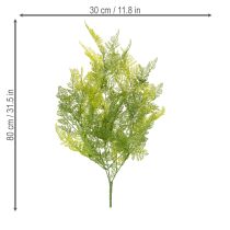 položky Umělá kapradina na zavěšení, dekorativní prvek do interiéru, moderní akcenty, 80 cm