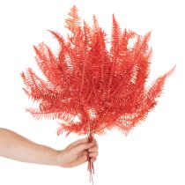 položky Kapradiny, konzervované sušené květiny, podzimní dekorace, 60 cm, 10 kusů