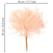 položky Sušené listy kapradiny, dekorace kapradiny do vázy, 60 cm, 10 kusů