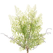 položky Umělá zelená větvička Ruscus pro květinovou dekoraci, 41 cm