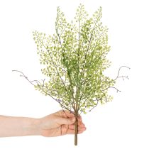 položky Umělá zelená větvička Ruscus pro květinovou dekoraci, 41 cm