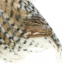 položky Lesní sova, podzimní dekorace, dekorativní sova, Halloween V16cm