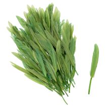 položky Dekorativní peří pro stylovou atmosféru a působivé dekorace 10 cm