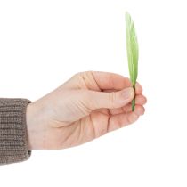 položky Dekorativní peří pro stylovou atmosféru a působivé dekorace 10 cm